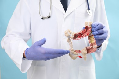 Doctor showing model of large intestine on light blue background, closeup