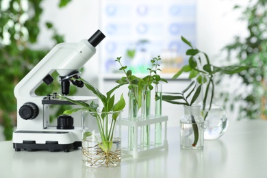 Laboratory glassware with plants and microscope on table. Biological chemistry