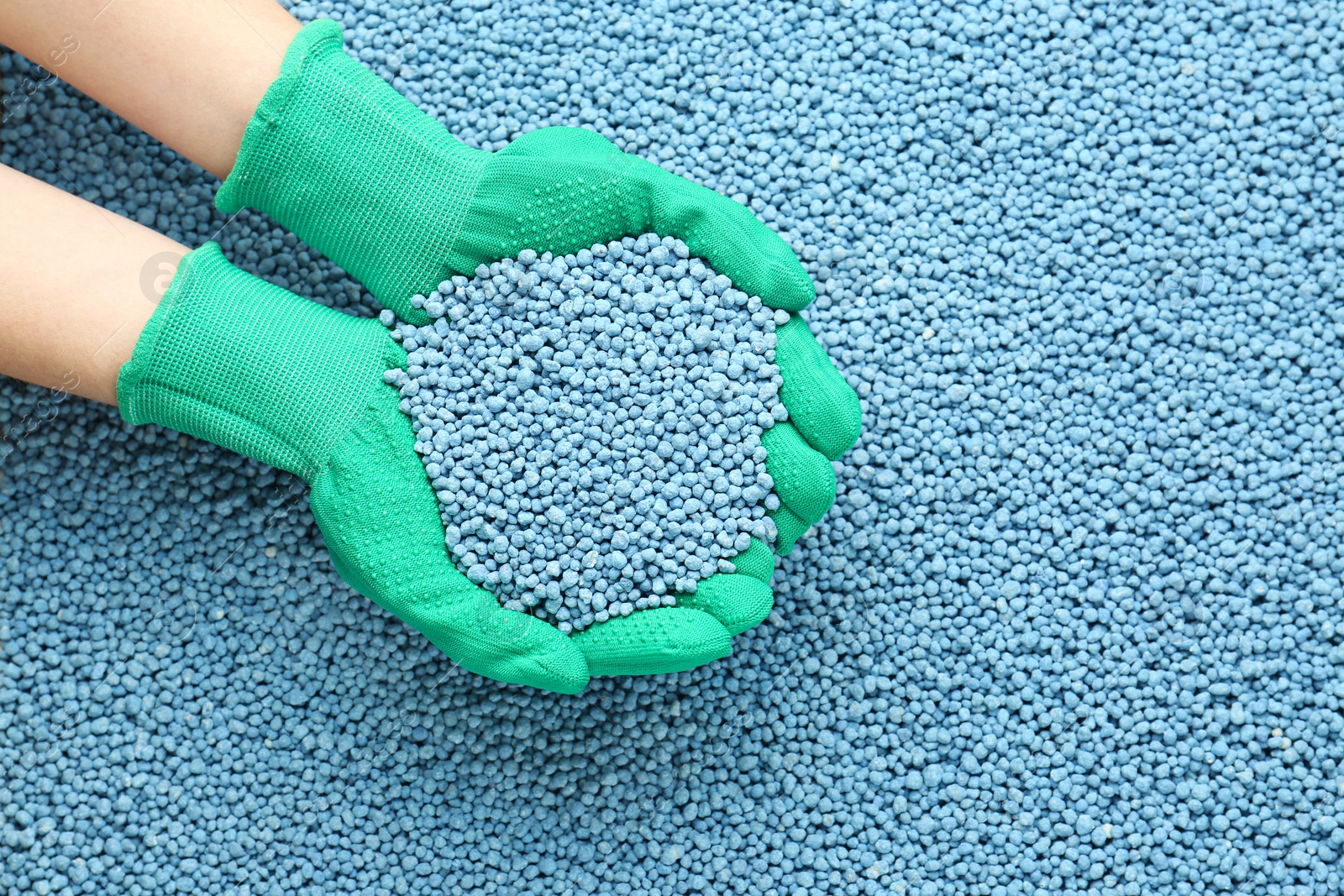 Photo of Woman holding pile of granular mineral fertilizer over grains, top view. Space for text