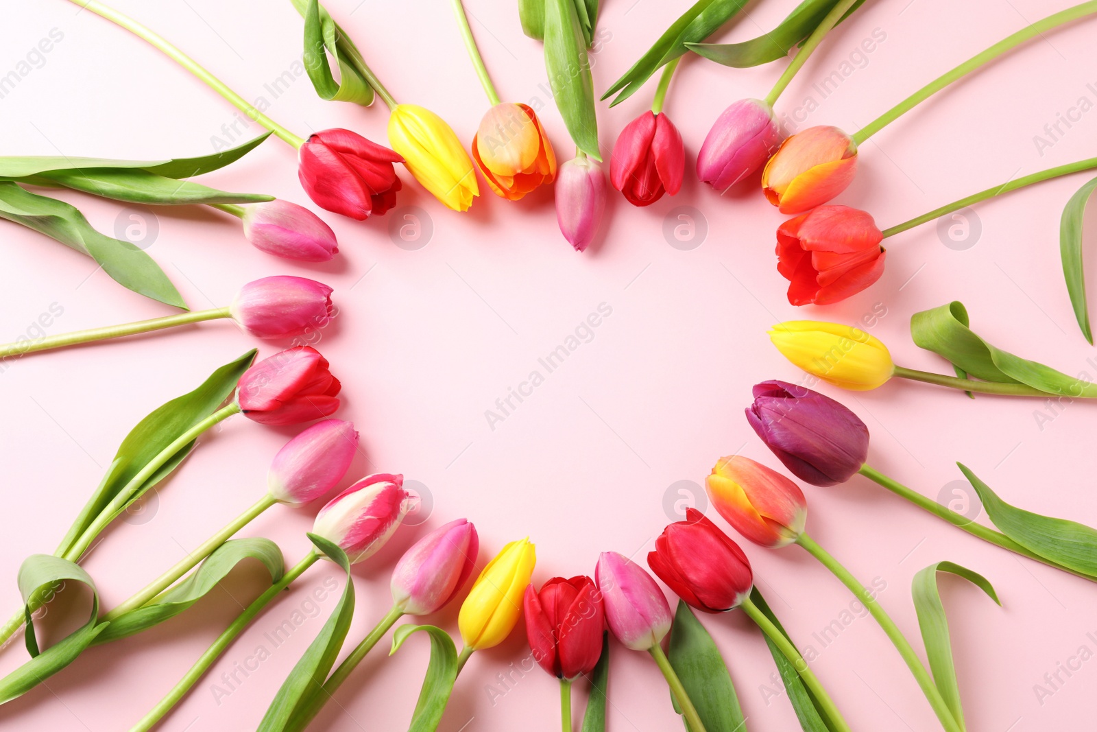 Photo of Heart made of beautiful tulip flowers on color background, flat lay. Space for text