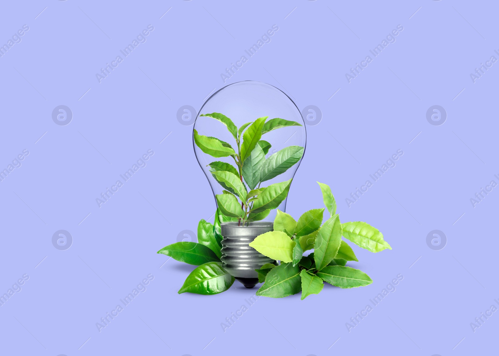 Image of Saving energy, eco-friendly lifestyle. Fresh green leaves inside of light bulb on violet background