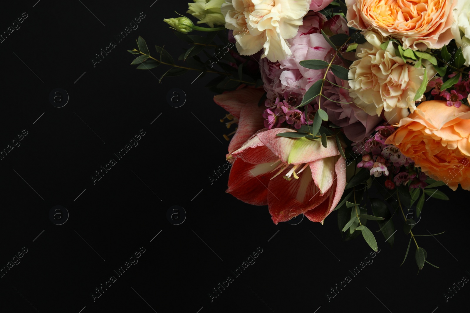 Photo of Beautiful fresh flowers on dark background, space for text