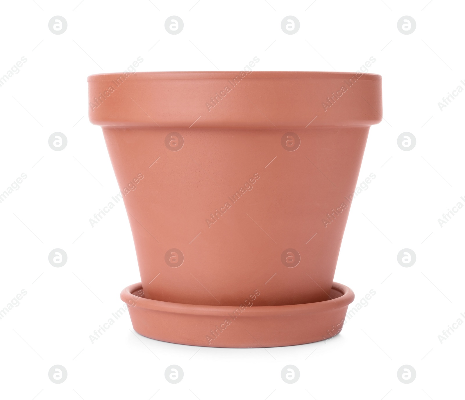 Photo of Stylish terracotta flower pot with saucer isolated on white