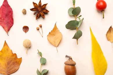 Flat lay composition with autumn leaves on white background