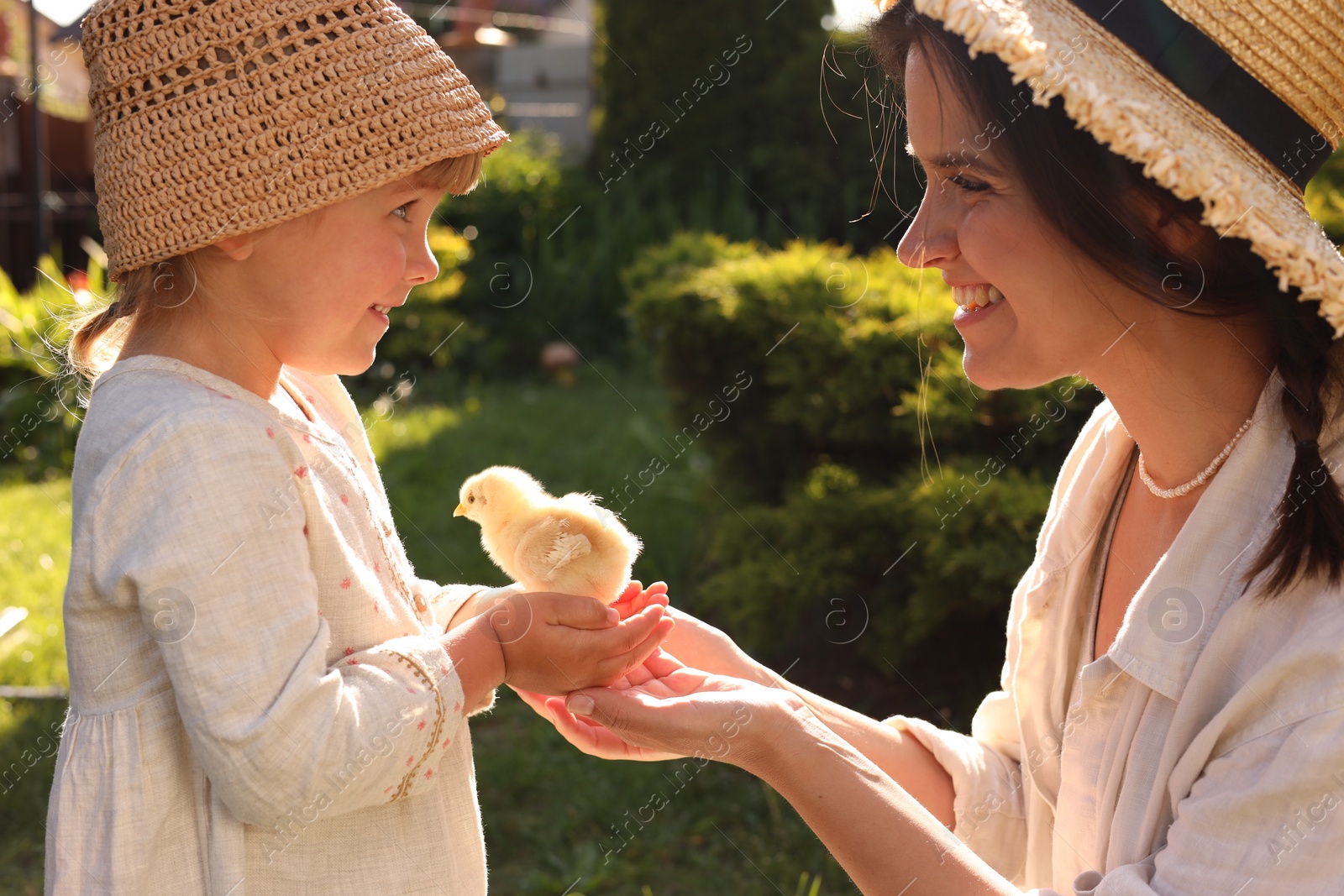 Photo of Happy mother and her little daughter with cute chick outdoors