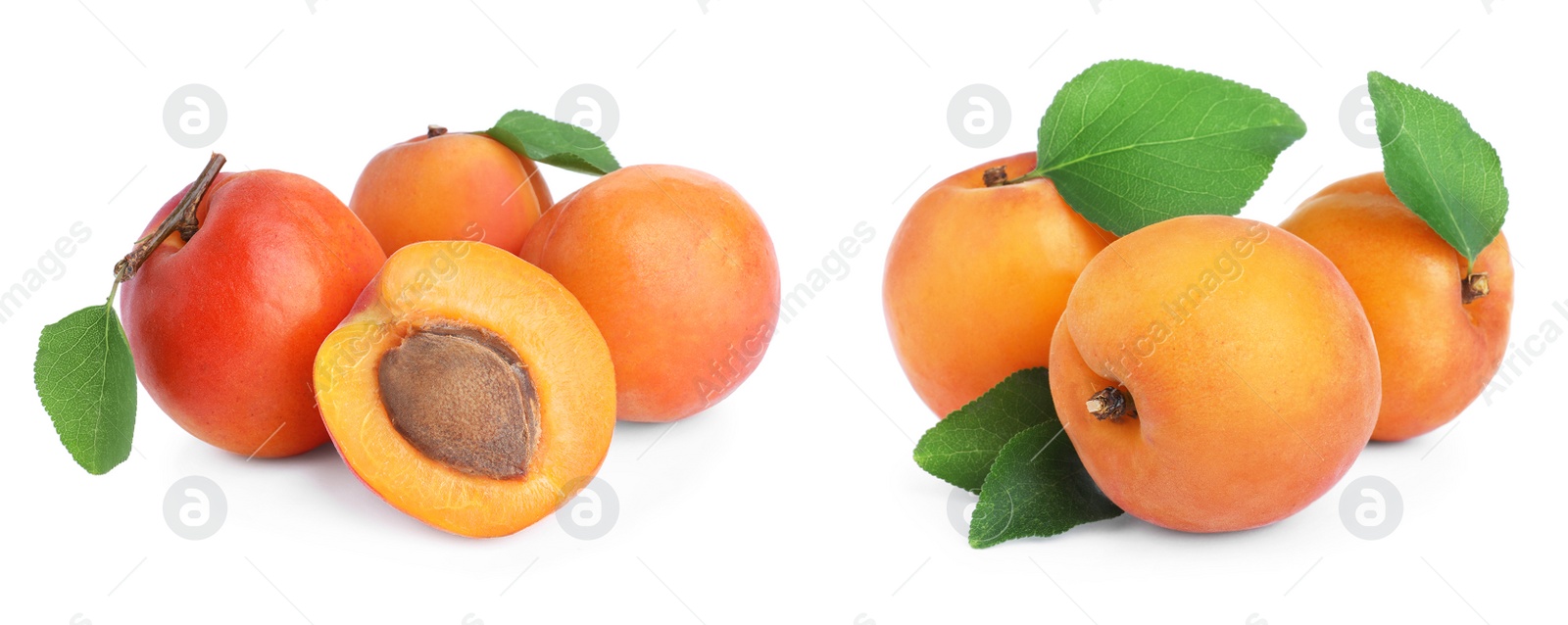 Image of Set of fresh apricots on white background. Banner design