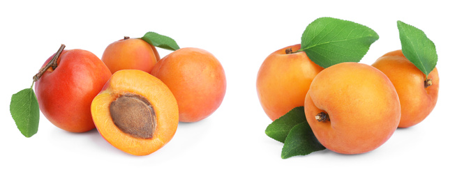 Image of Set of fresh apricots on white background. Banner design