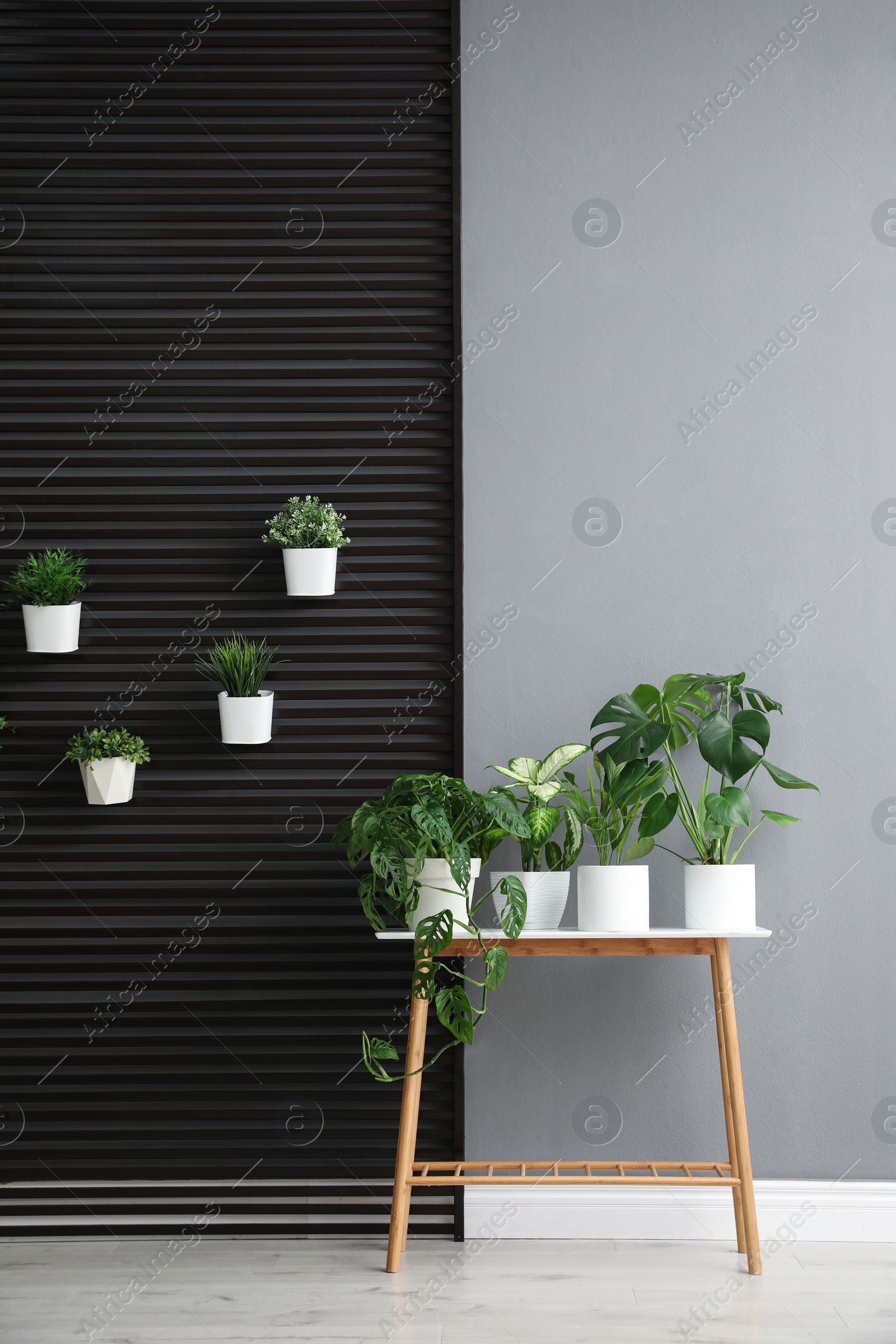 Photo of Plants on wooden table in room. Stylish interior design