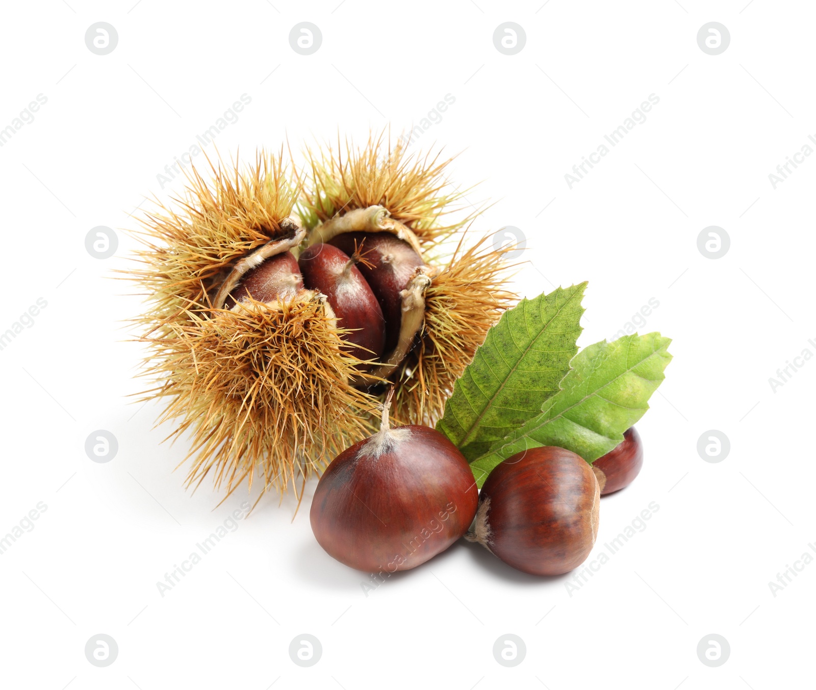 Photo of Fresh sweet edible chestnuts on white background