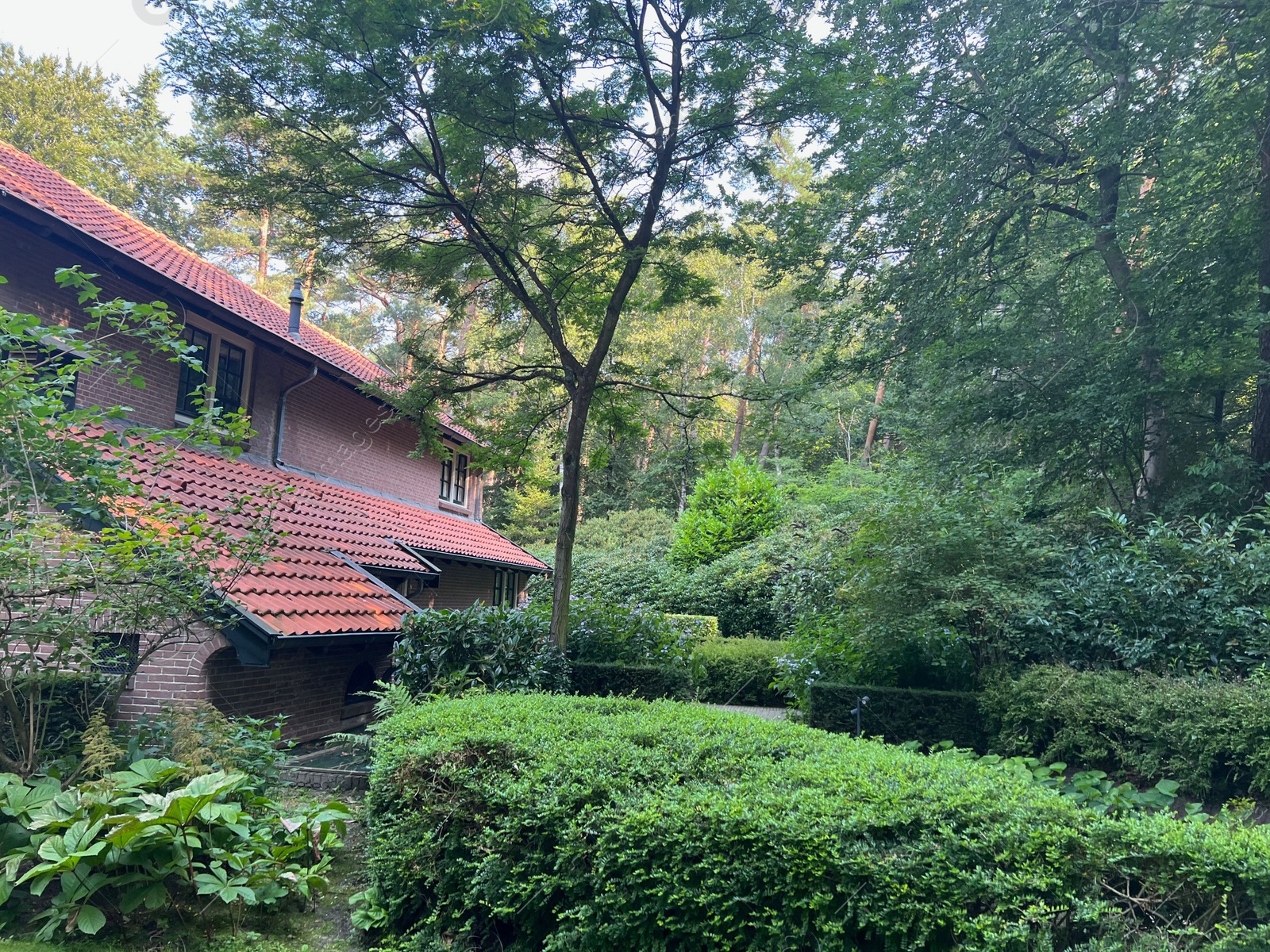 Photo of Beautiful view of house and garden on sunny day