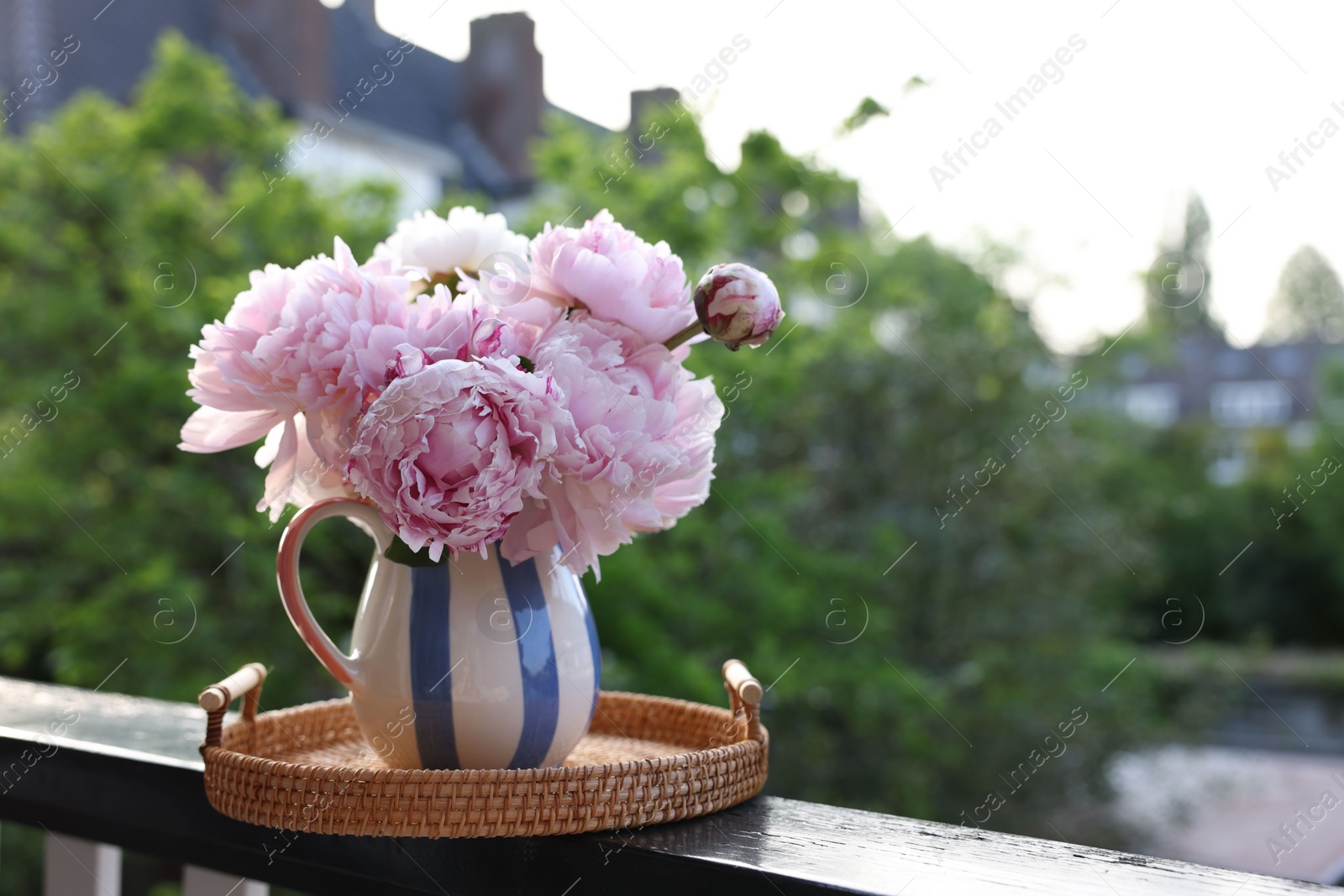 Photo of Beautiful pink peony flowers in vase on balcony railing outdoors. Space for text