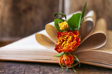Photo of Open book with folded pages and beautiful dried flowers on wooden table, closeup