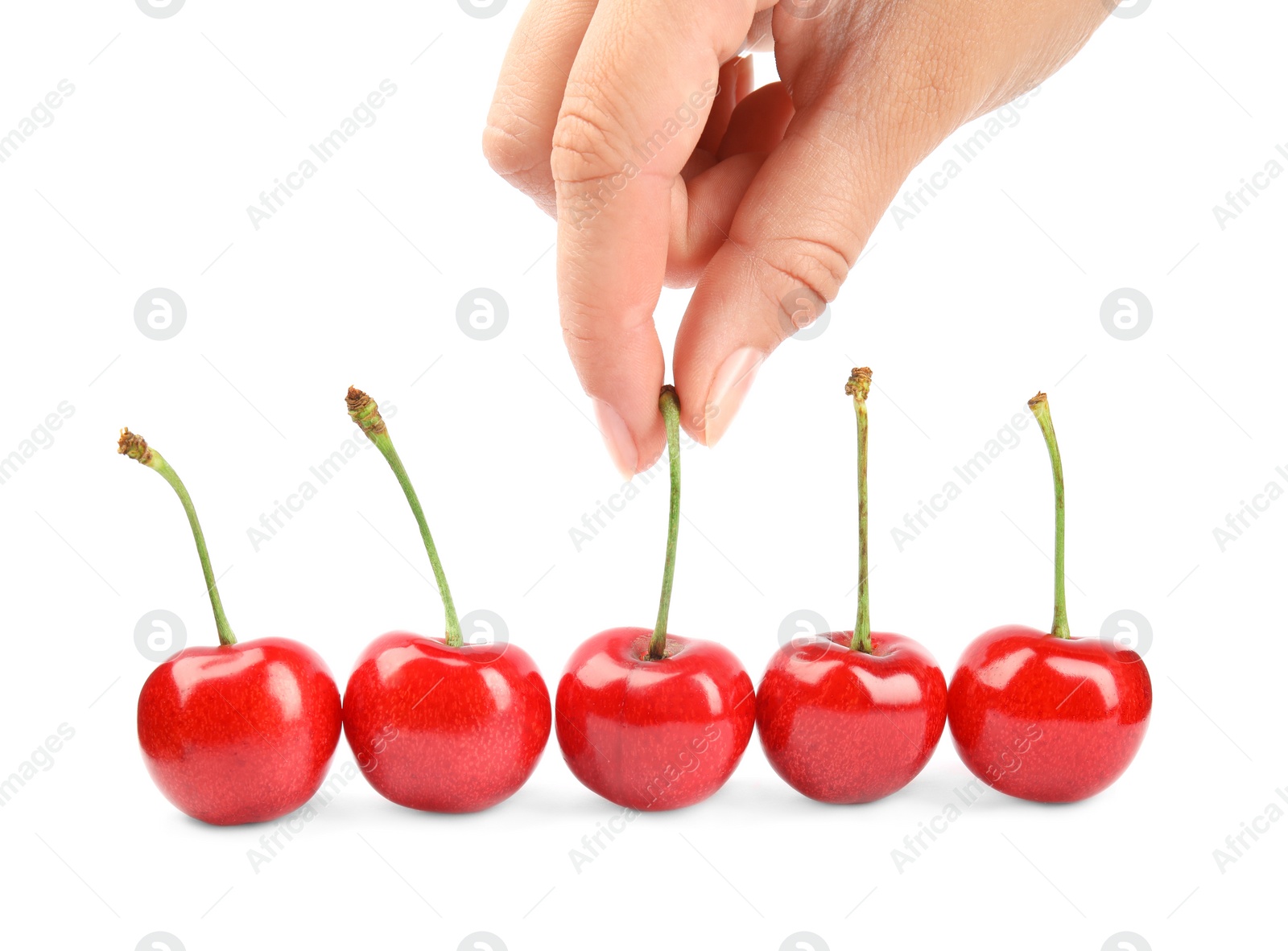 Photo of Woman holding ripe sweet cherry on white background, closeup