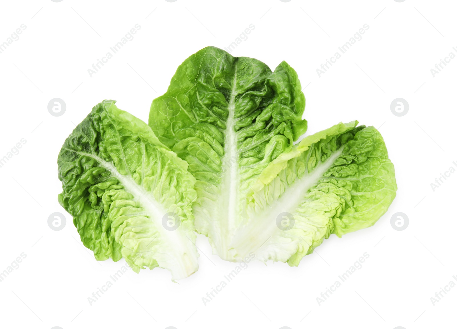 Photo of Fresh leaves of green romaine lettuce isolated on white, top view