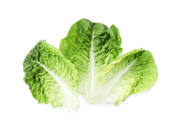 Fresh leaves of green romaine lettuce isolated on white, top view