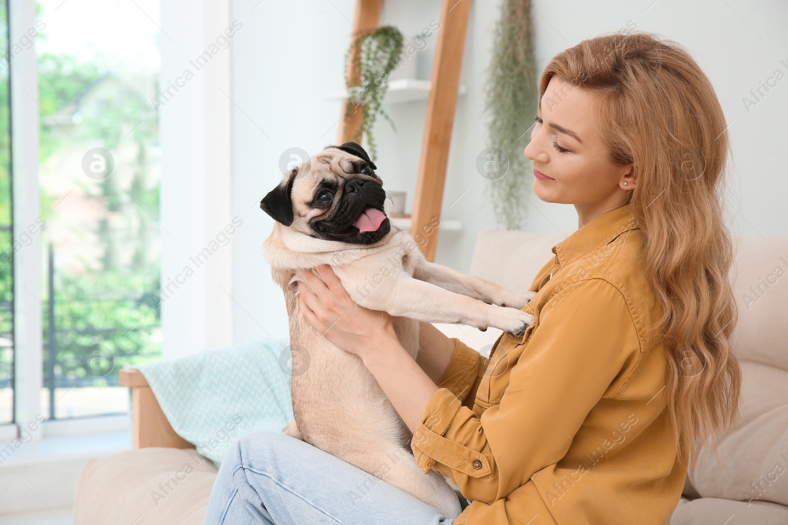 Photo of Woman with cute pug dog at home. Animal adoption