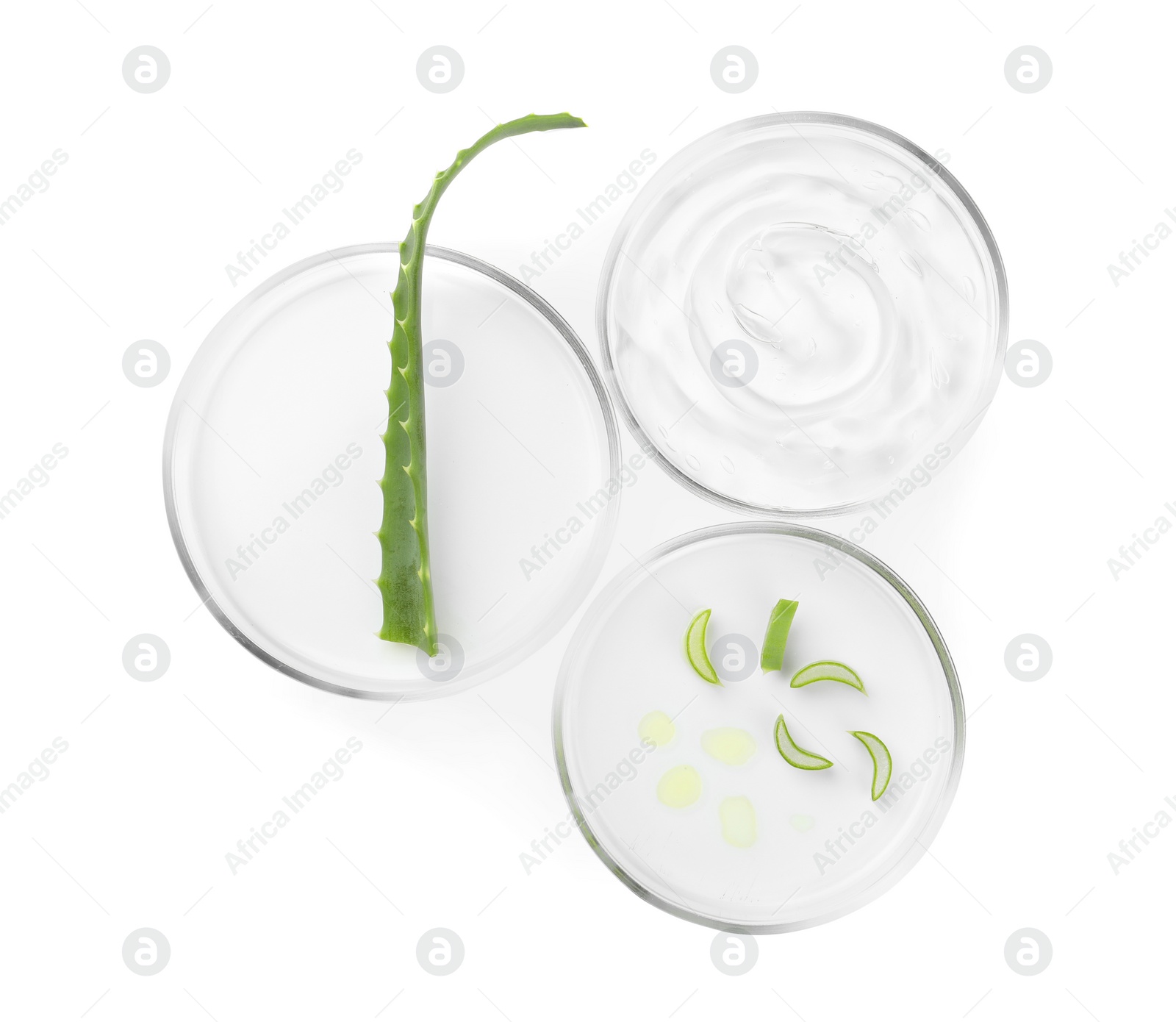 Photo of Petri dishes with aloe plants and cosmetic product isolated on white, top view