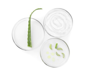 Petri dishes with aloe plants and cosmetic product isolated on white, top view