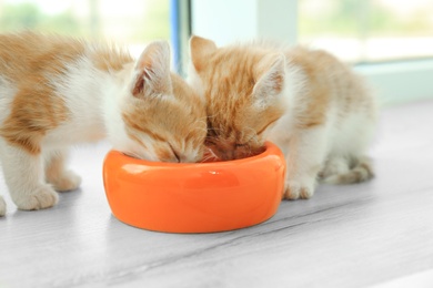 Photo of Cute little red kittens eating from bowl on floor