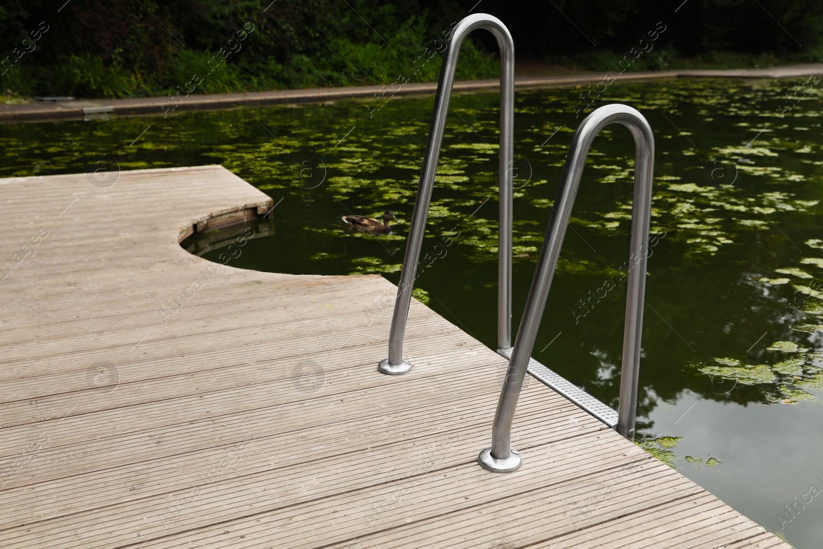 Photo of Wooden pier and pond with ladder in park