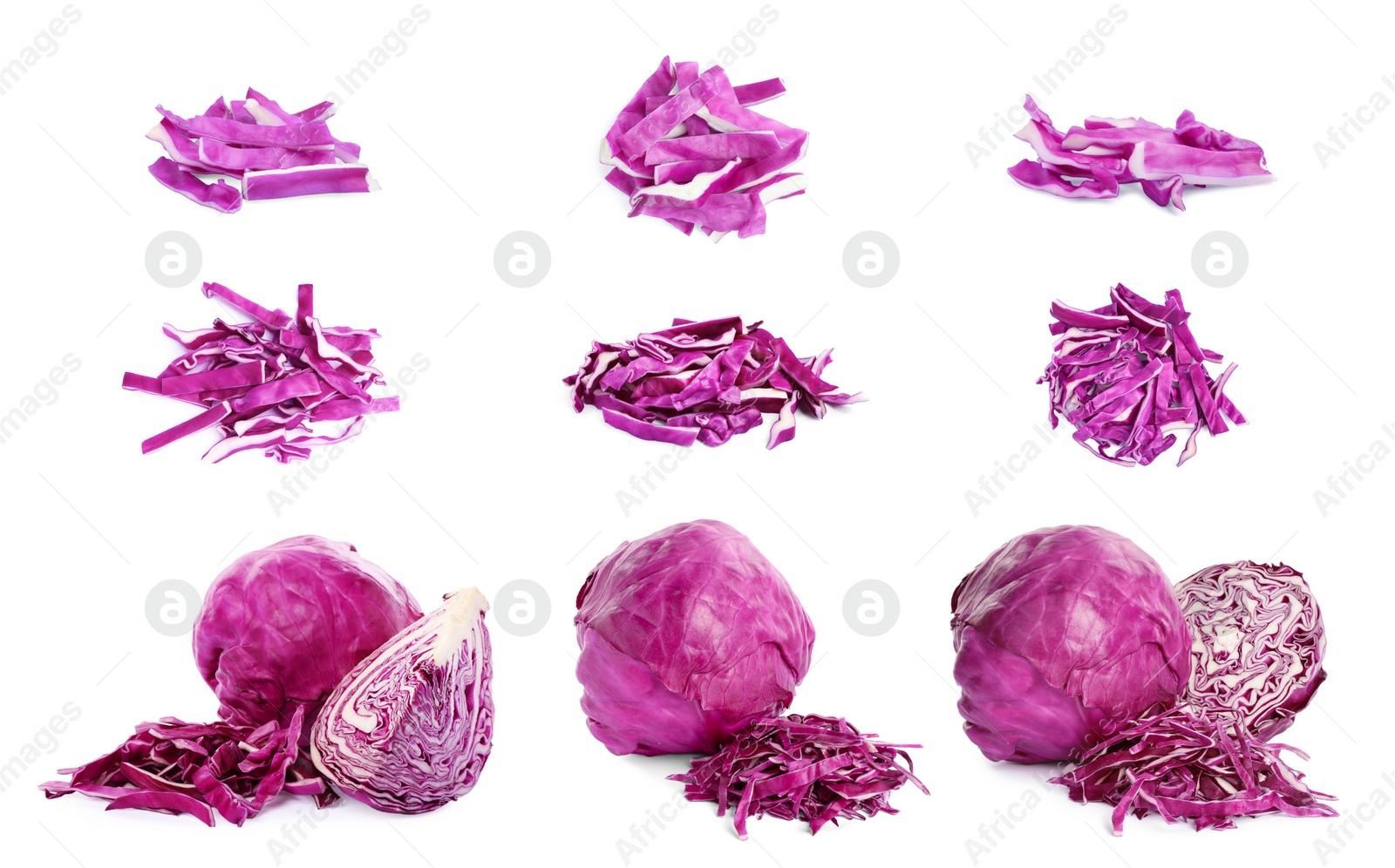 Image of Collage with fresh red cabbages on white background