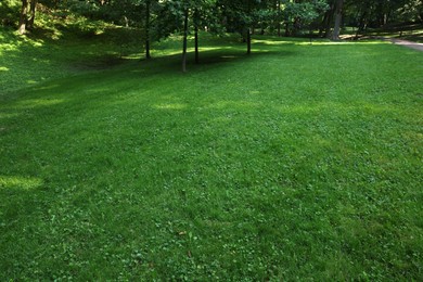 Photo of Beautiful lawn with vibrant green grass outdoors