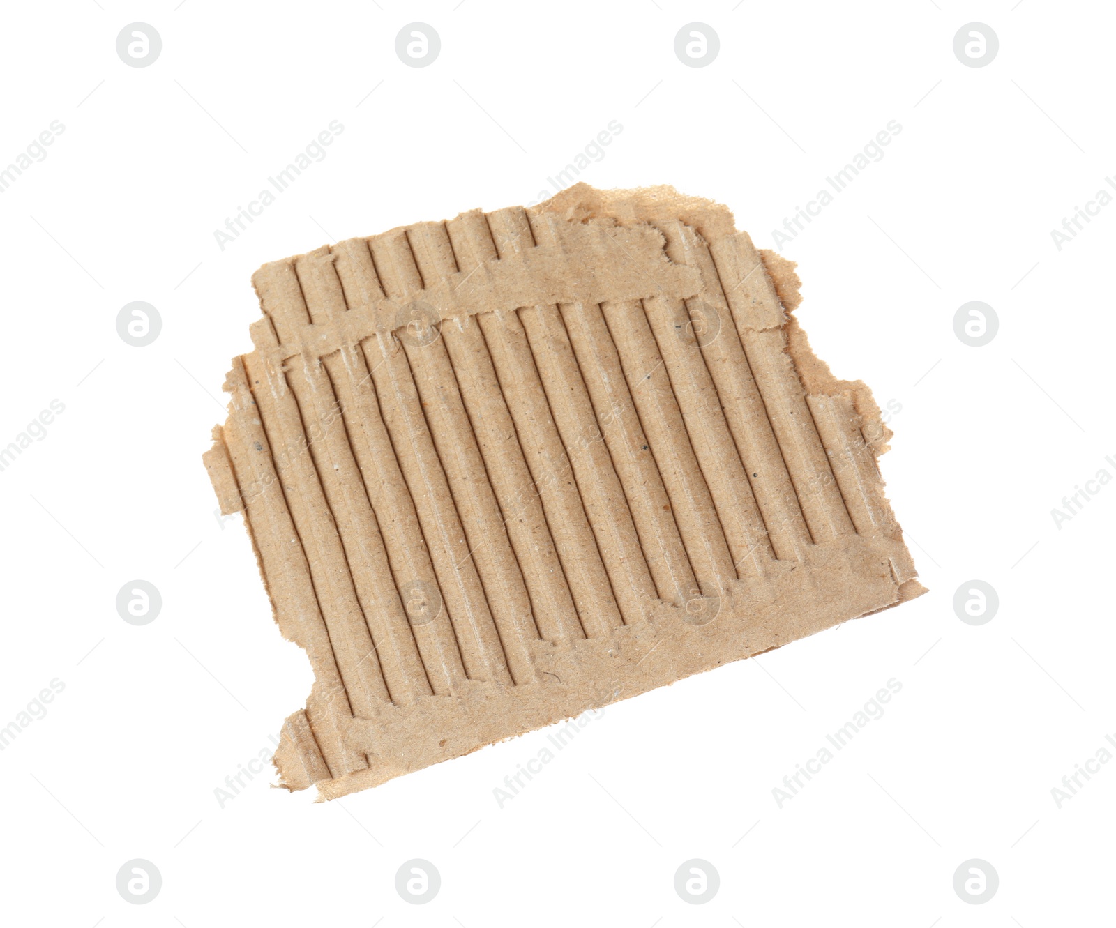 Photo of Piece of torn cardboard isolated on white