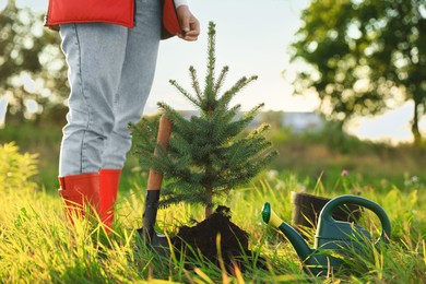 Photo of Woman near newly planted conifer tree, watering can and shovel in meadow on sunny day, closeup