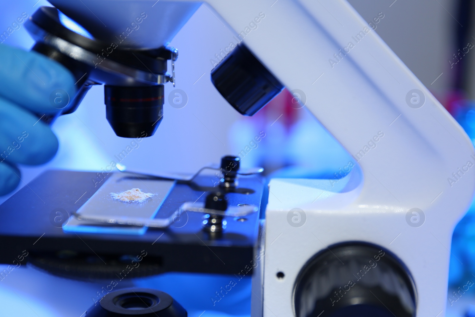 Photo of Scientist examining crushed pill under microscope in laboratory, closeup