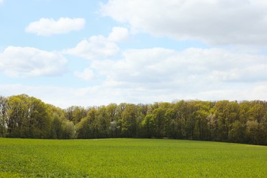 Photo of Beautiful view of field with green grass and trees