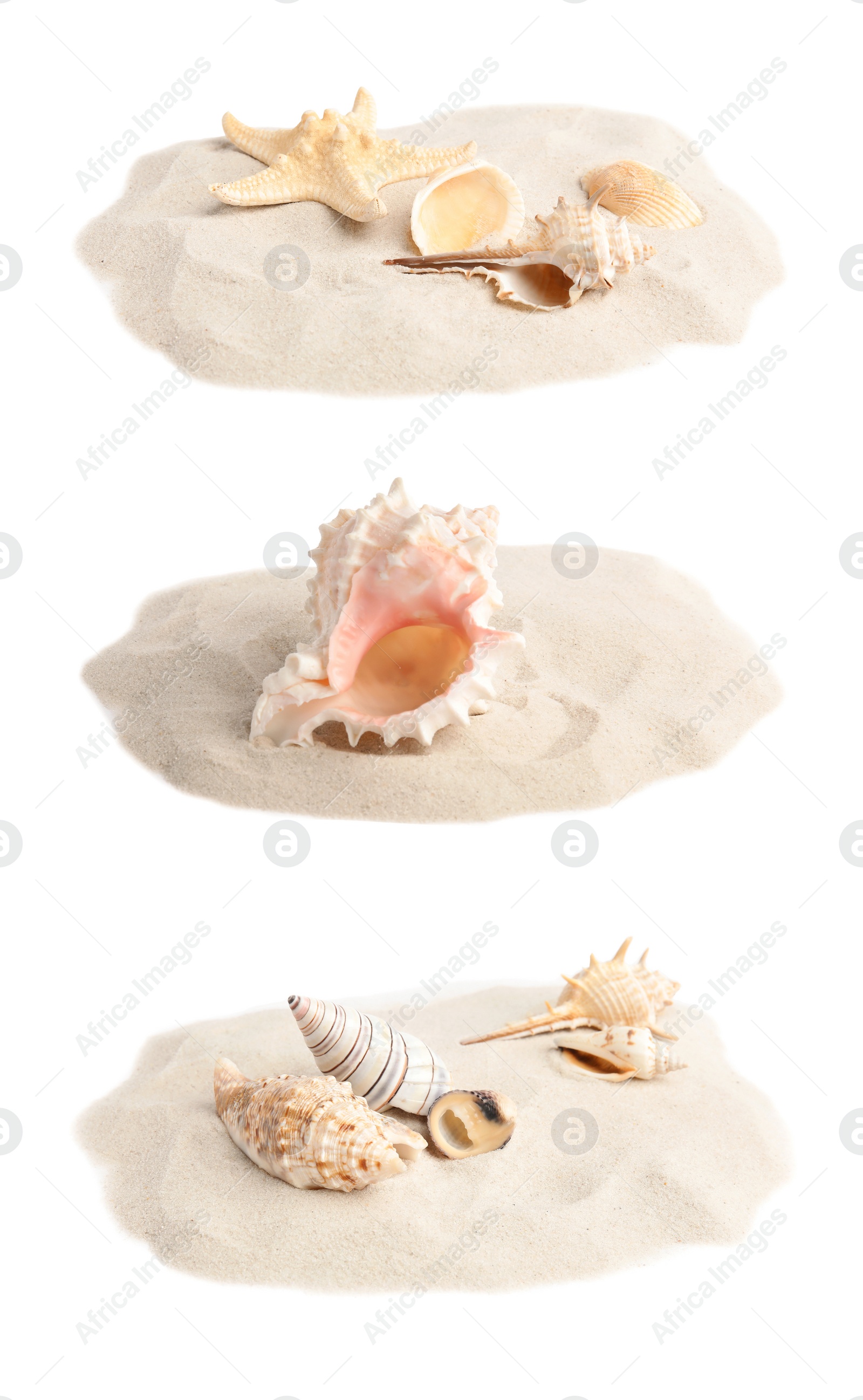 Image of Set of sand piles with sea shells on white background