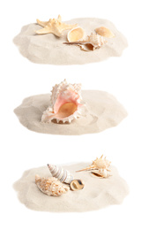 Image of Set of sand piles with sea shells on white background