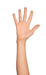 Photo of Woman on white background, closeup of hand