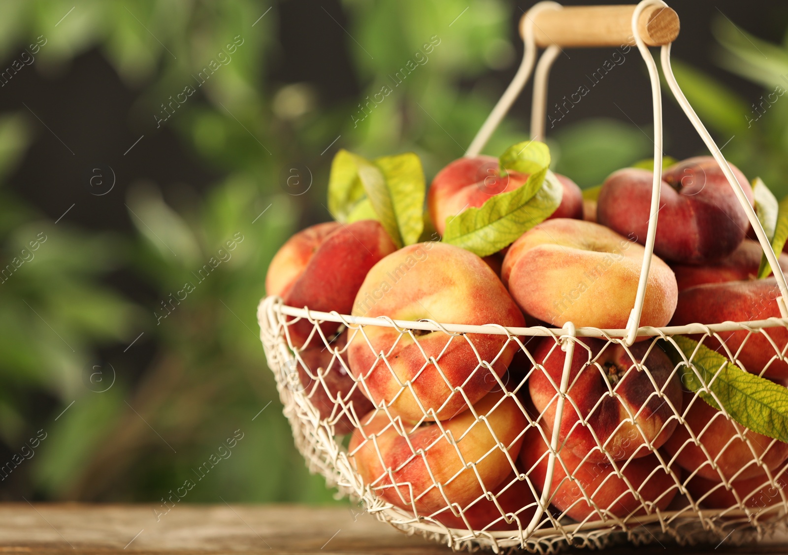 Photo of Fresh ripe donut peaches on wooden table against blurred green background, closeup. Space for text