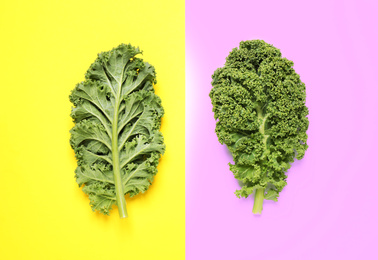 Photo of Fresh kale leaves on color background, flat lay