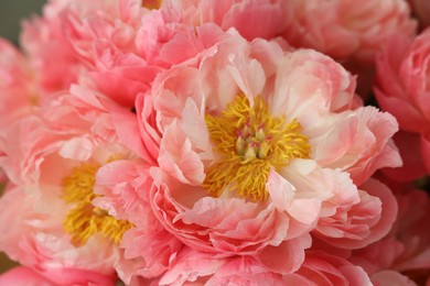 Photo of Beautiful pink peonies as background, closeup view