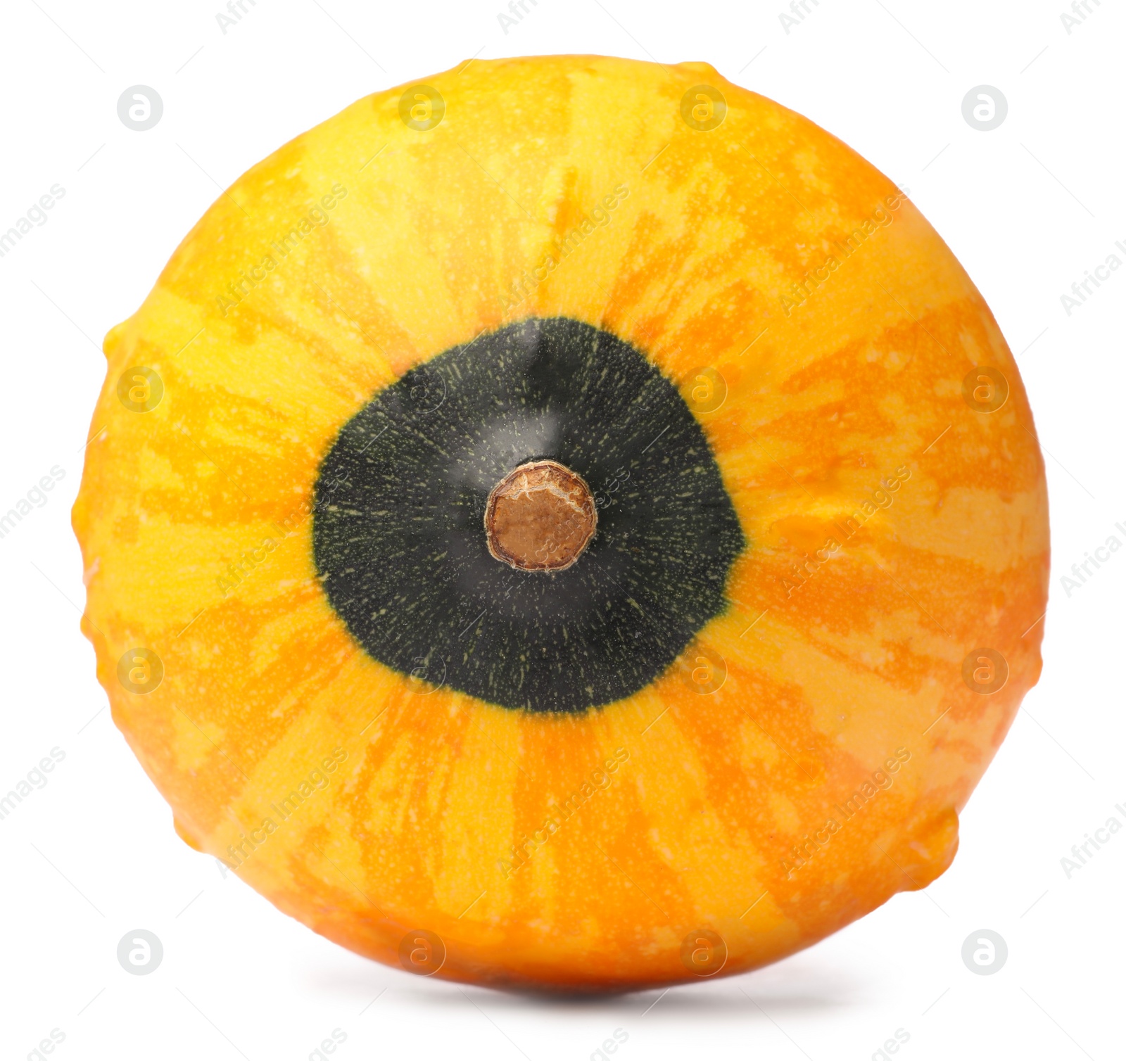 Photo of One fresh ripe pumpkin isolated on white