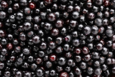 Photo of Black elderberries (Sambucus) as background, top view