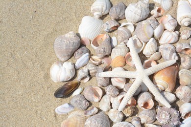 Beautiful starfish and sea shells on sand, flat lay