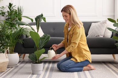 Photo of Woman watering beautiful potted houseplant at home