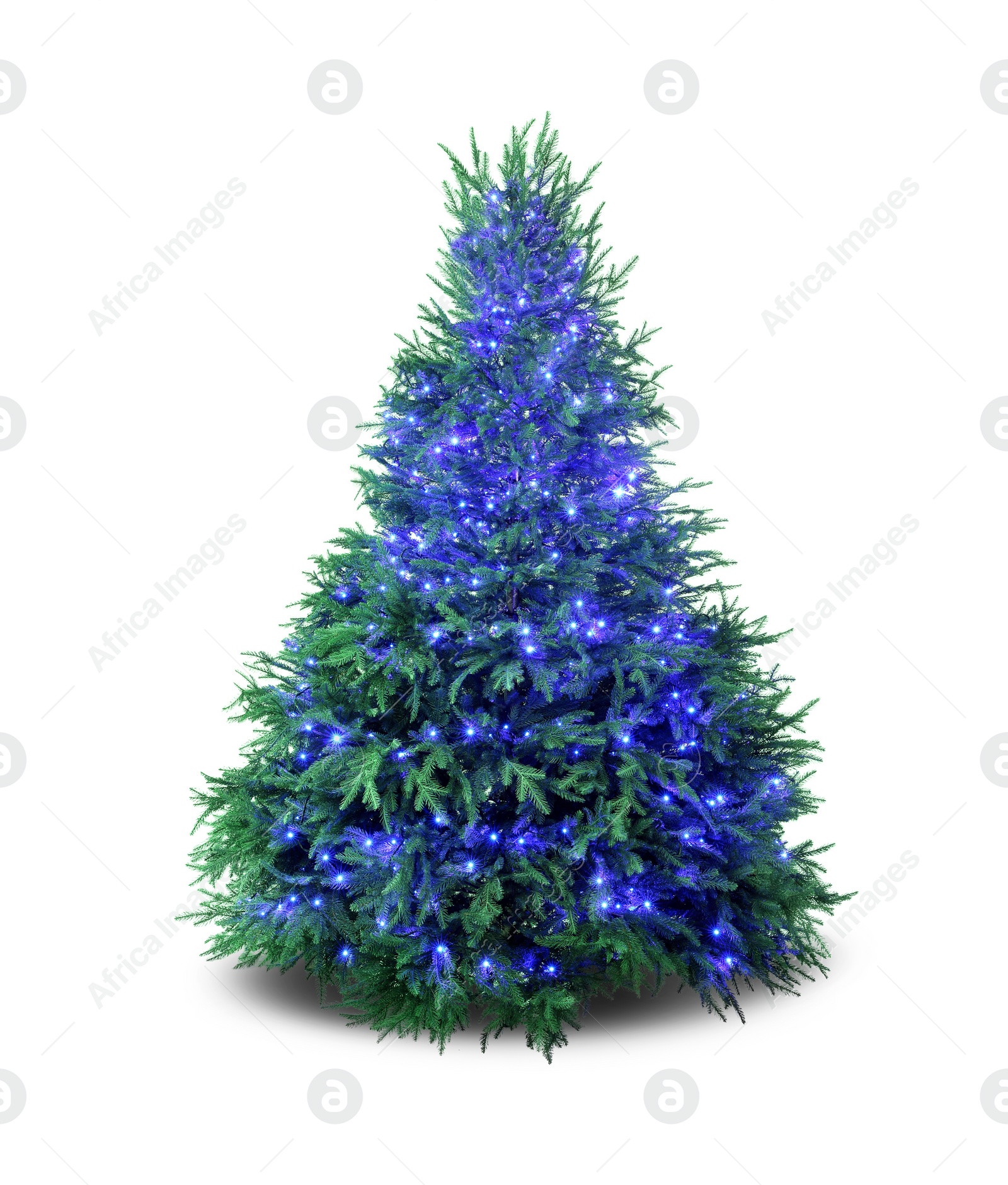 Photo of Beautiful Christmas tree with festive lights isolated on white