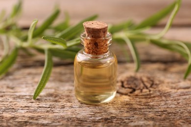 Aromatic essential oil in bottle and rosemary on wooden table, closeup