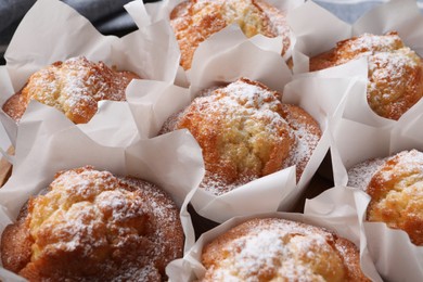 Delicious muffins with powdered sugar as background, closeup