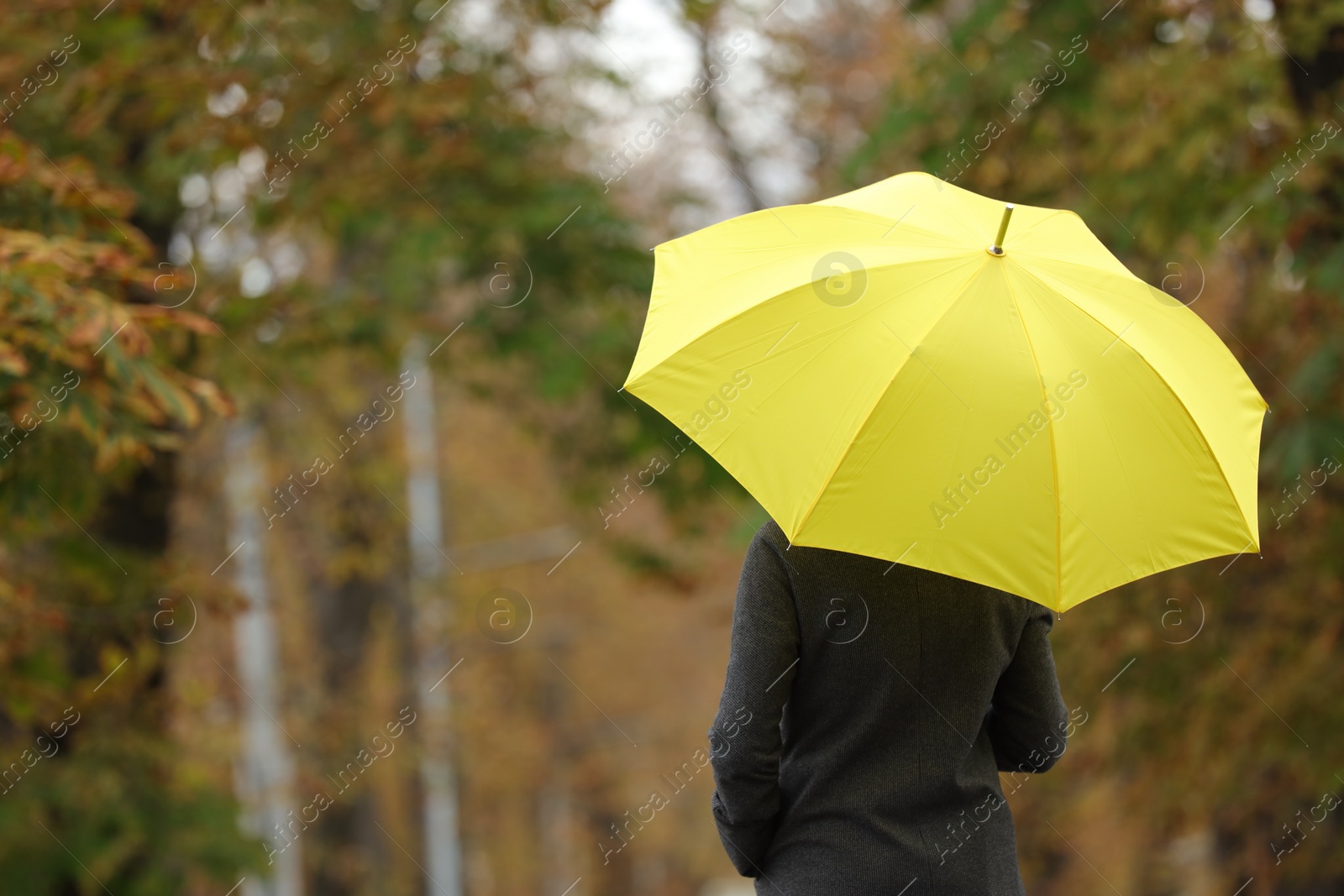 Photo of Woman with yellow umbrella in autumn park, back view. Space for text