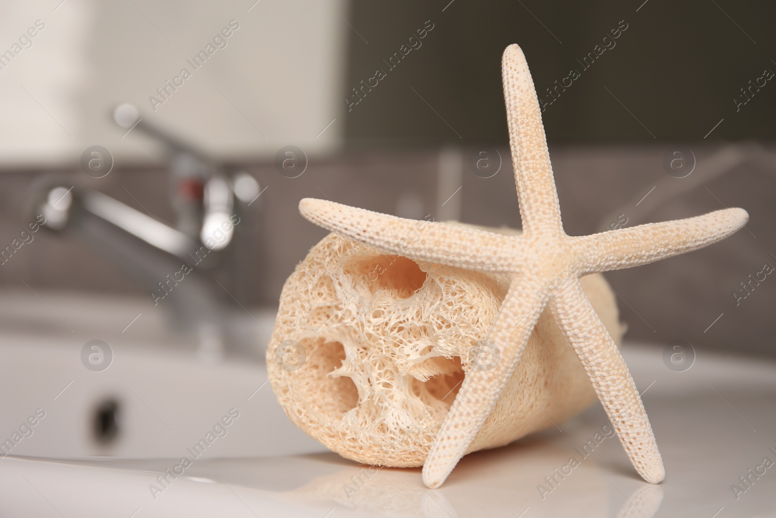 Photo of Natural loofah sponge and starfish on washbasin in bathroom, closeup. Space for text