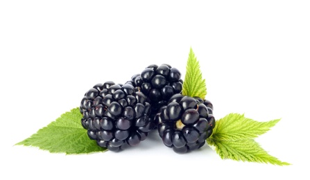 Fresh ripe juicy blackberries on white background