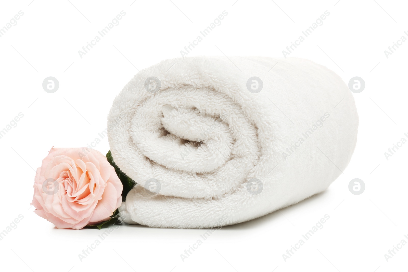 Photo of Clean rolled towel with flower on white background