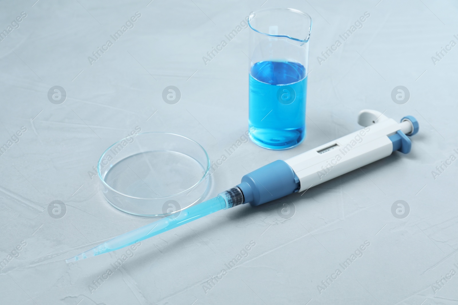 Photo of Laboratory analysis. Micropipette, beaker with liquid and petri dish on grey table