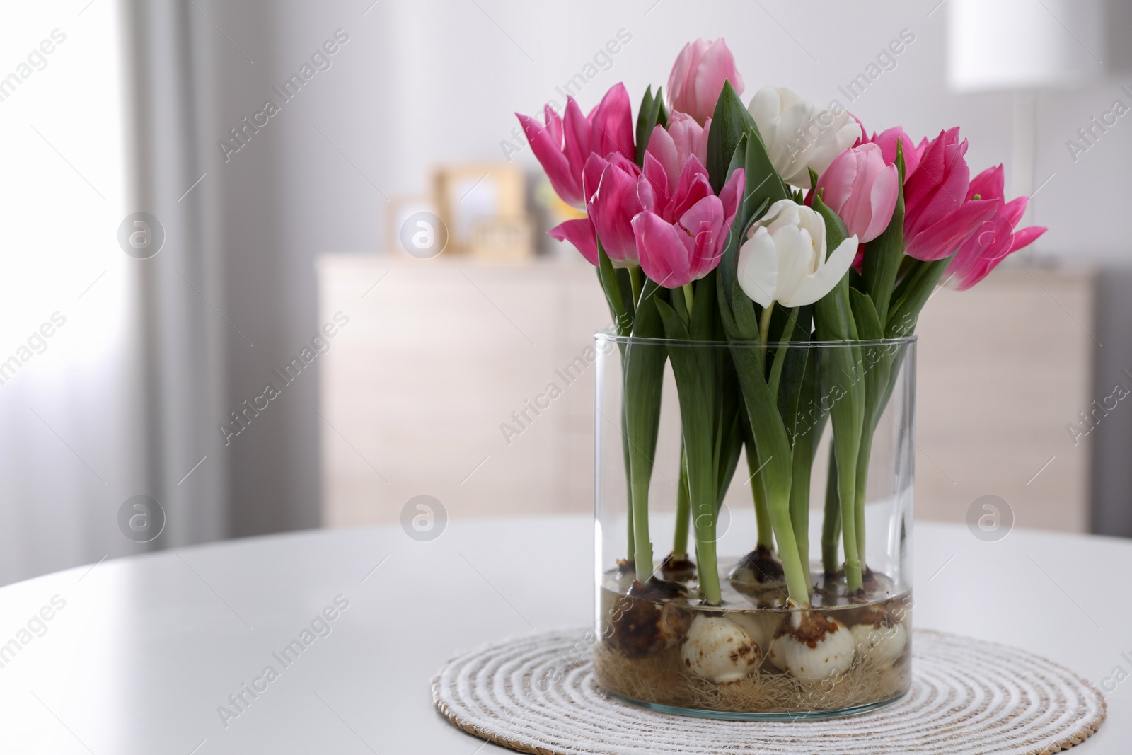 Photo of Bouquet of beautiful tulips with bulbs on table indoors. Space for text