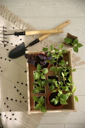 Photo of Gardening tools and wooden crate with young seedlings on floor, flat lay